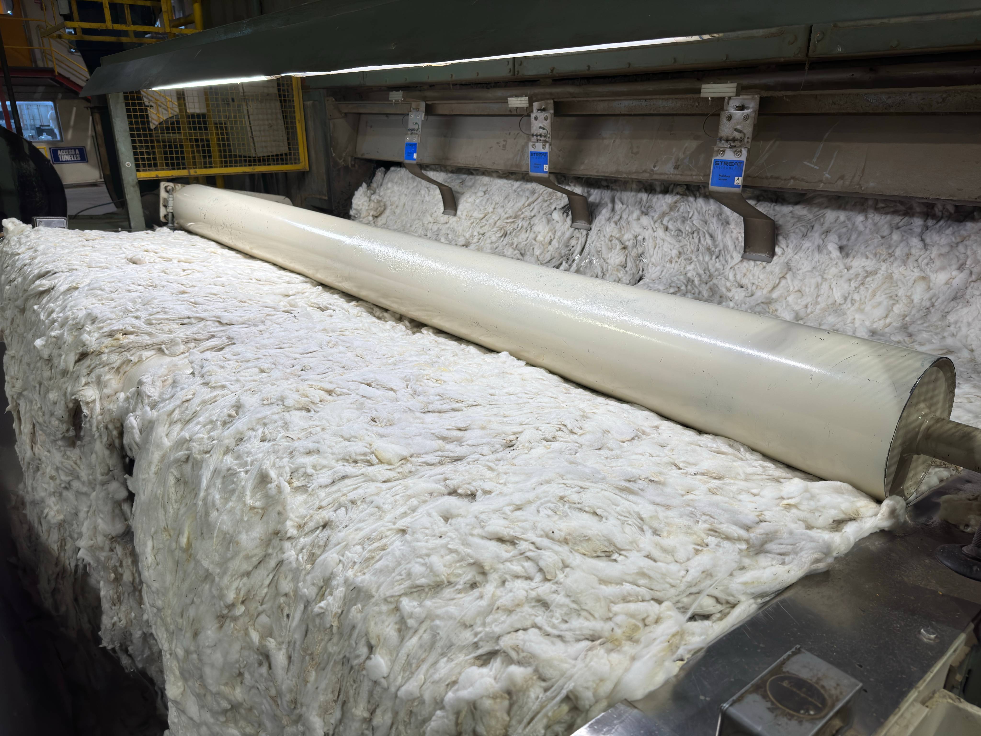 Scoured Wool